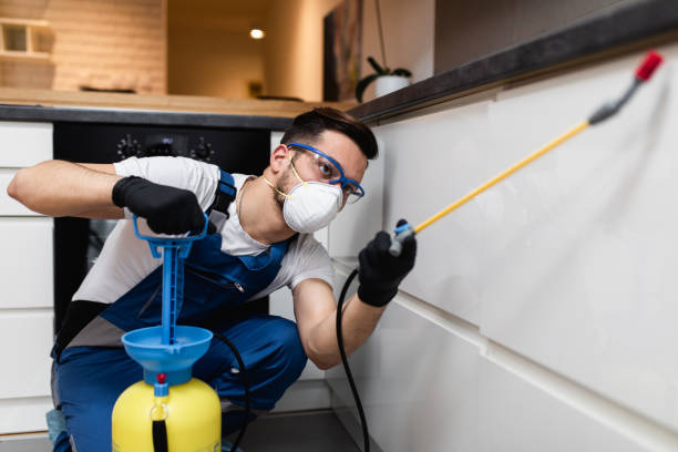 Best Exterminator Services  in Keys, OK