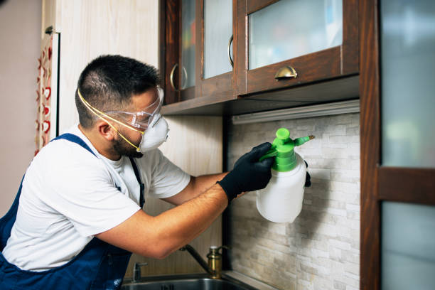 Best Cockroach Control Services  in Keys, OK
