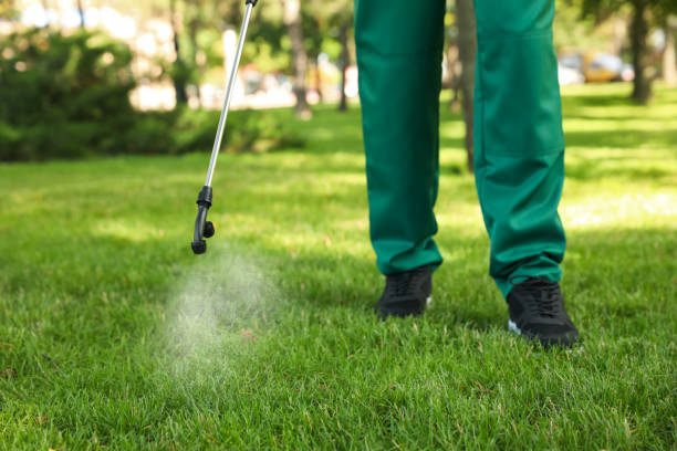 Best Bed Bug Extermination  in Keys, OK