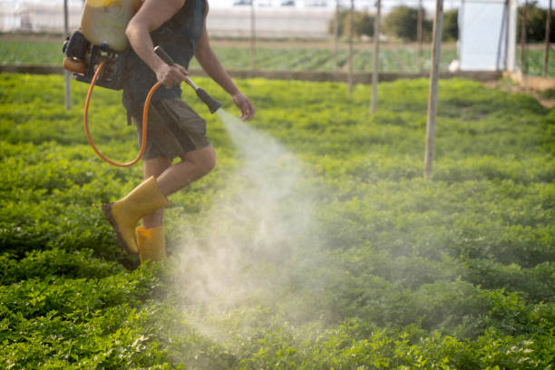 Best Pest Prevention Services  in Keys, OK