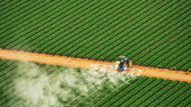 Best Ant Control Services  in Keys, OK