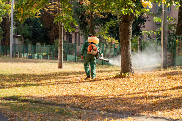 Best Emergency Pest Control  in Keys, OK